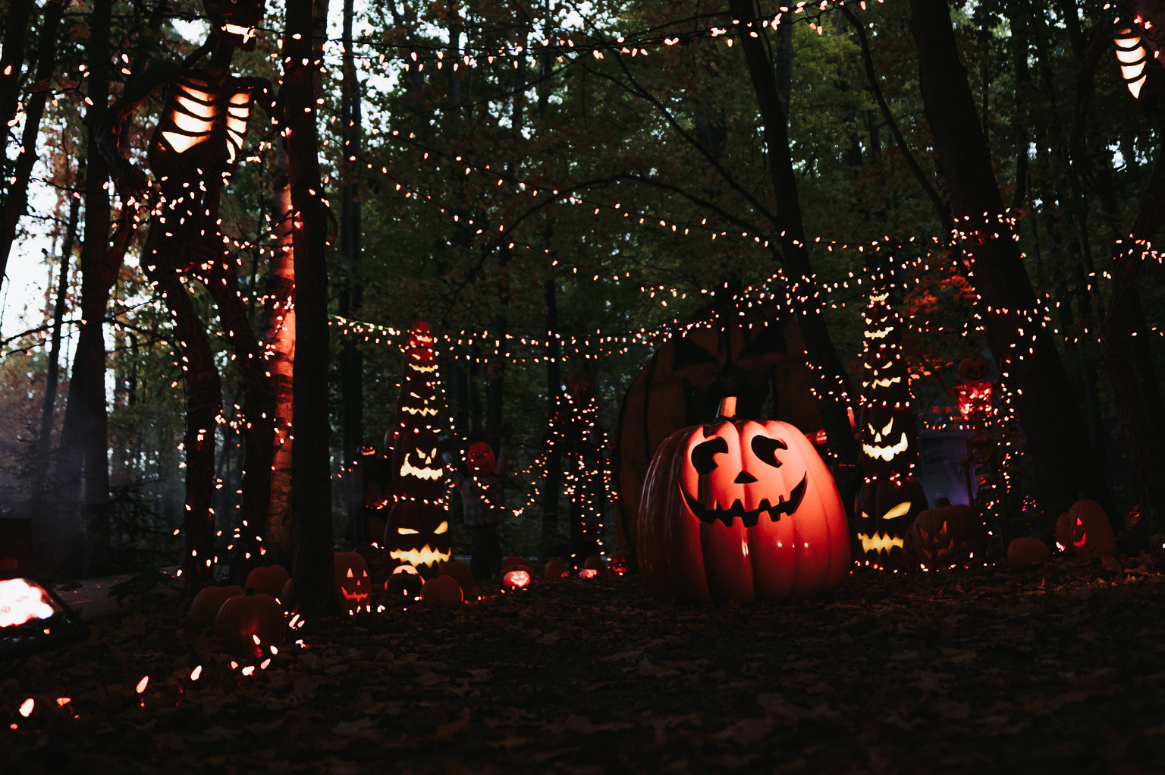 FALL Image